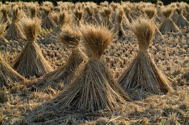 tariffs on farming helped farmers